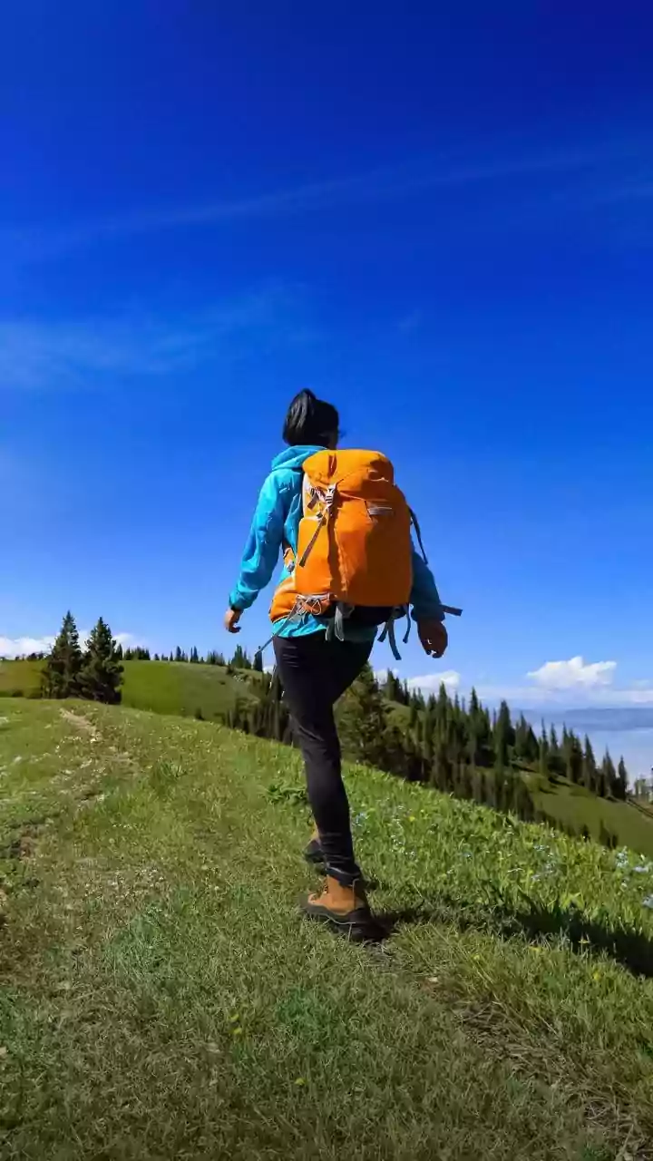 Canadian Rockies Hiking Trails: Wildlife Awareness on Canadian Mountain Hiking Trails