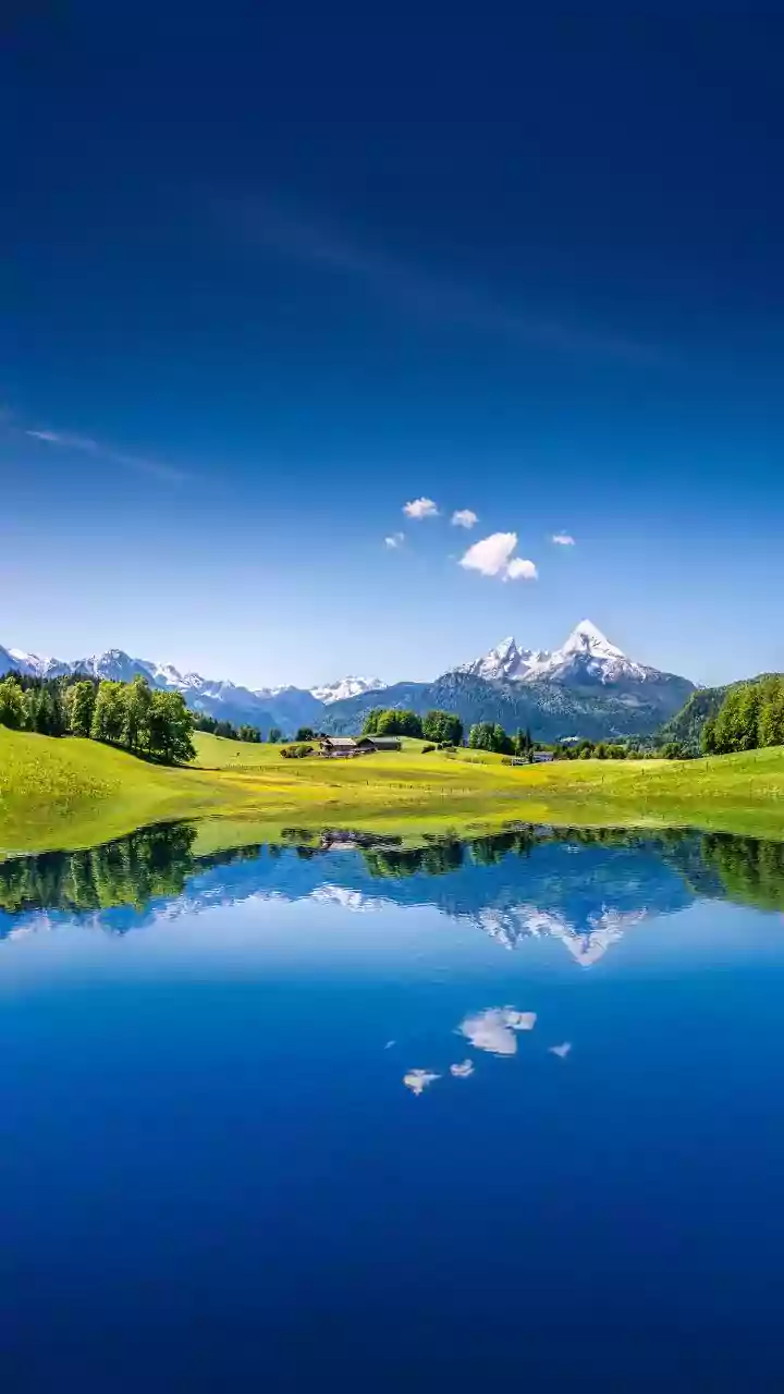 Switzerland committed to rules-based global order, free trade: President Parmelin