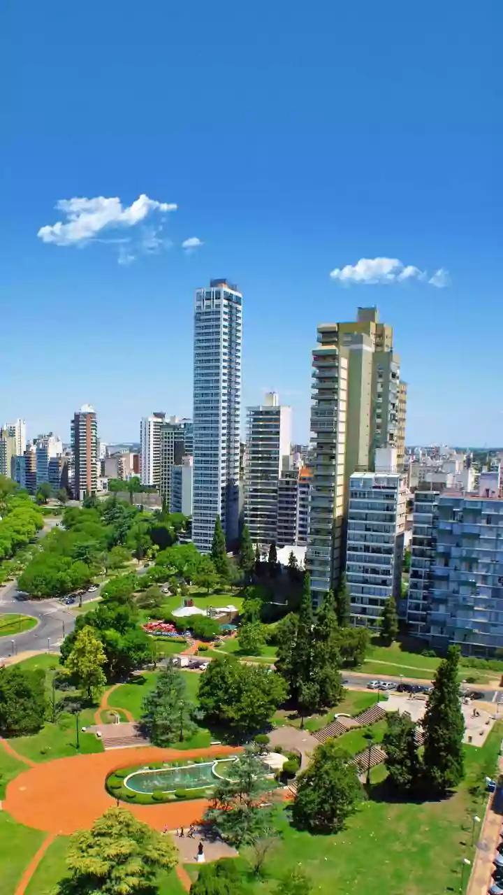 The Value of a City Park Goes Beyond Trees and Weekend Walks