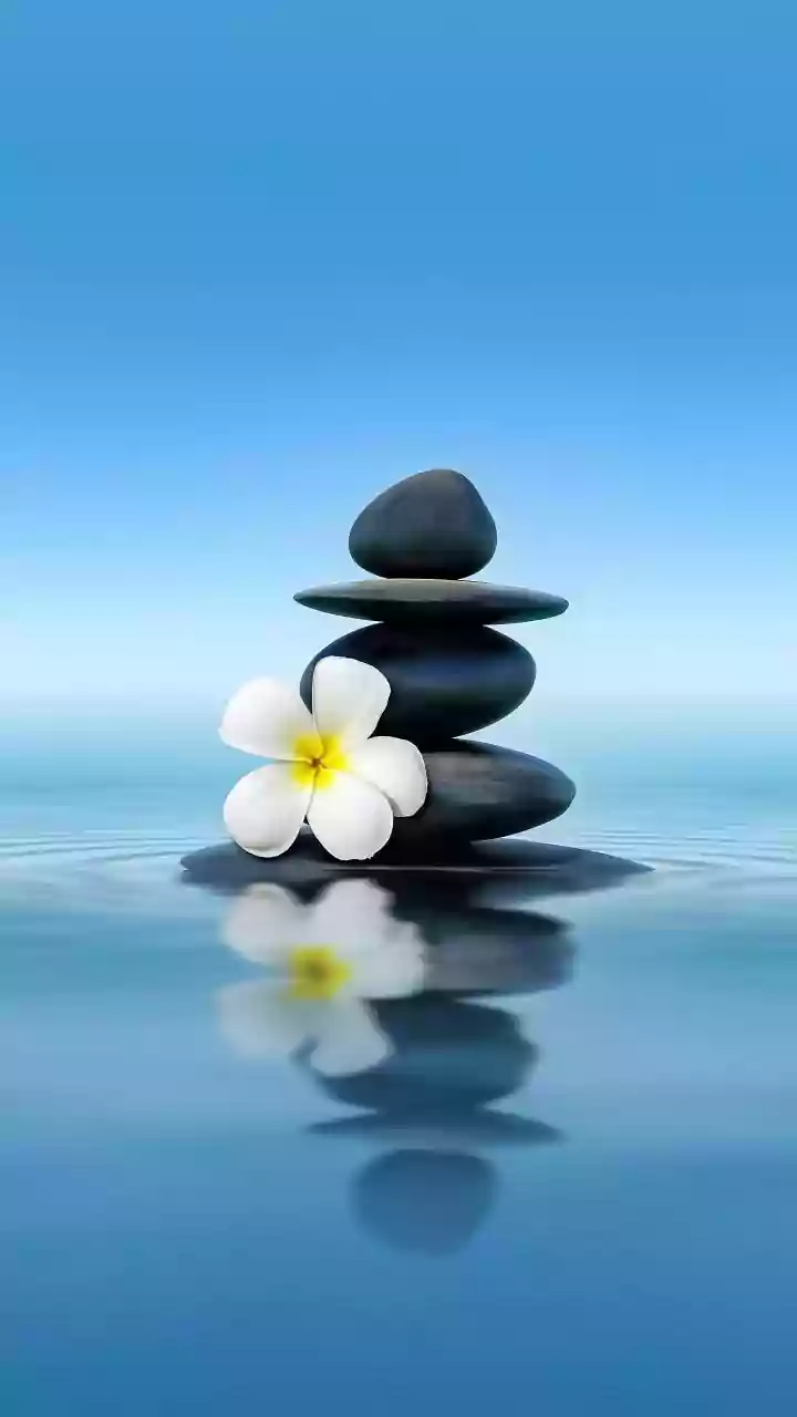 World Meditation Day 2025: 10 Minutes Of Meditation Can Transform Your Mind