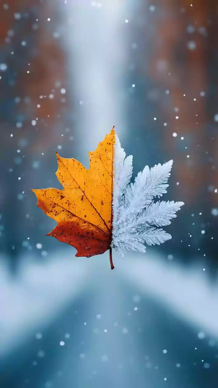 Blue Monday Explained: Why Winter Weighs Heavy On Mental Health And What Actually Helps