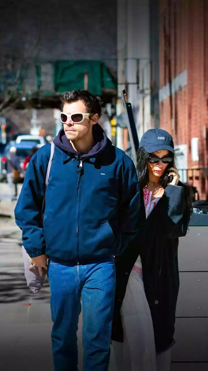 Harry Styles e Zoë Kravitz estão celebrando noivado com amigos, diz site