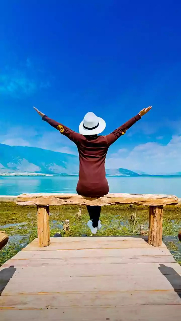 The Wider Context Around Purpose-Free Travel