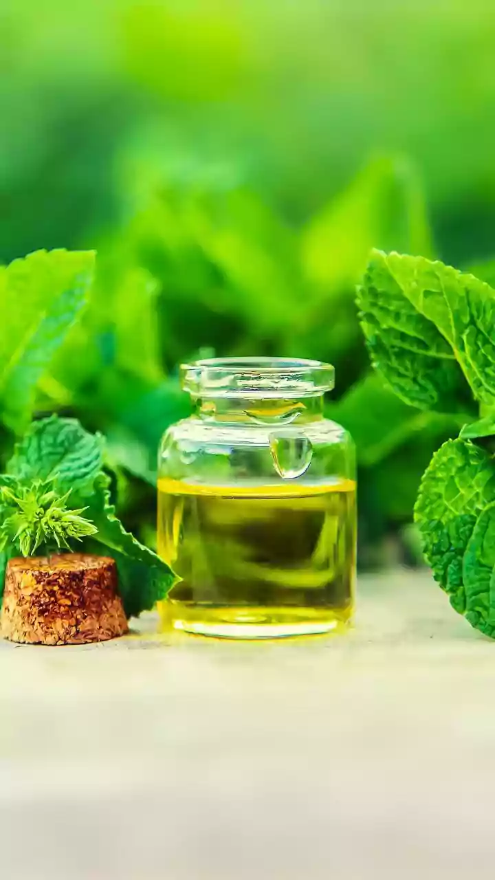 5 reasons to add spearmint to your wellness routine