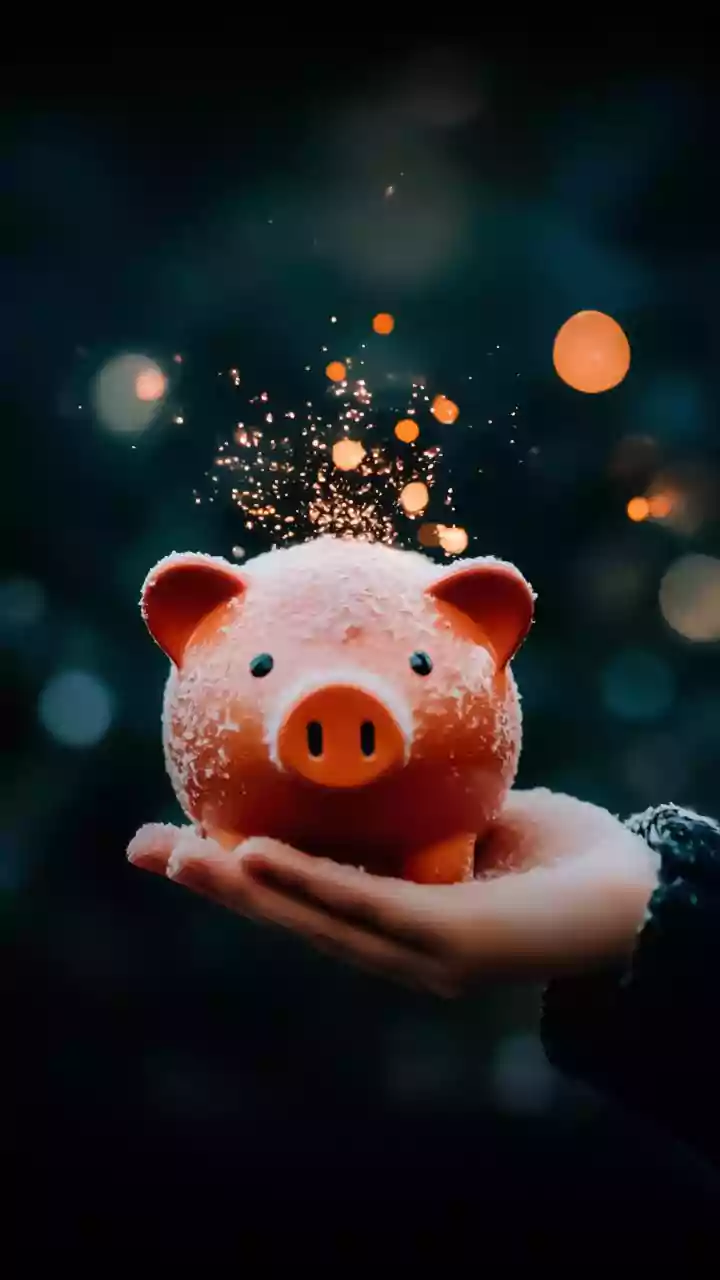 Pine Labs files for ₹4,000cr IPO: Key details