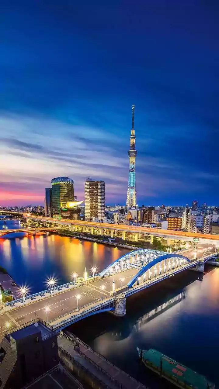 Why Some Famous Japanese Attractions May Not Suit Every Traveller