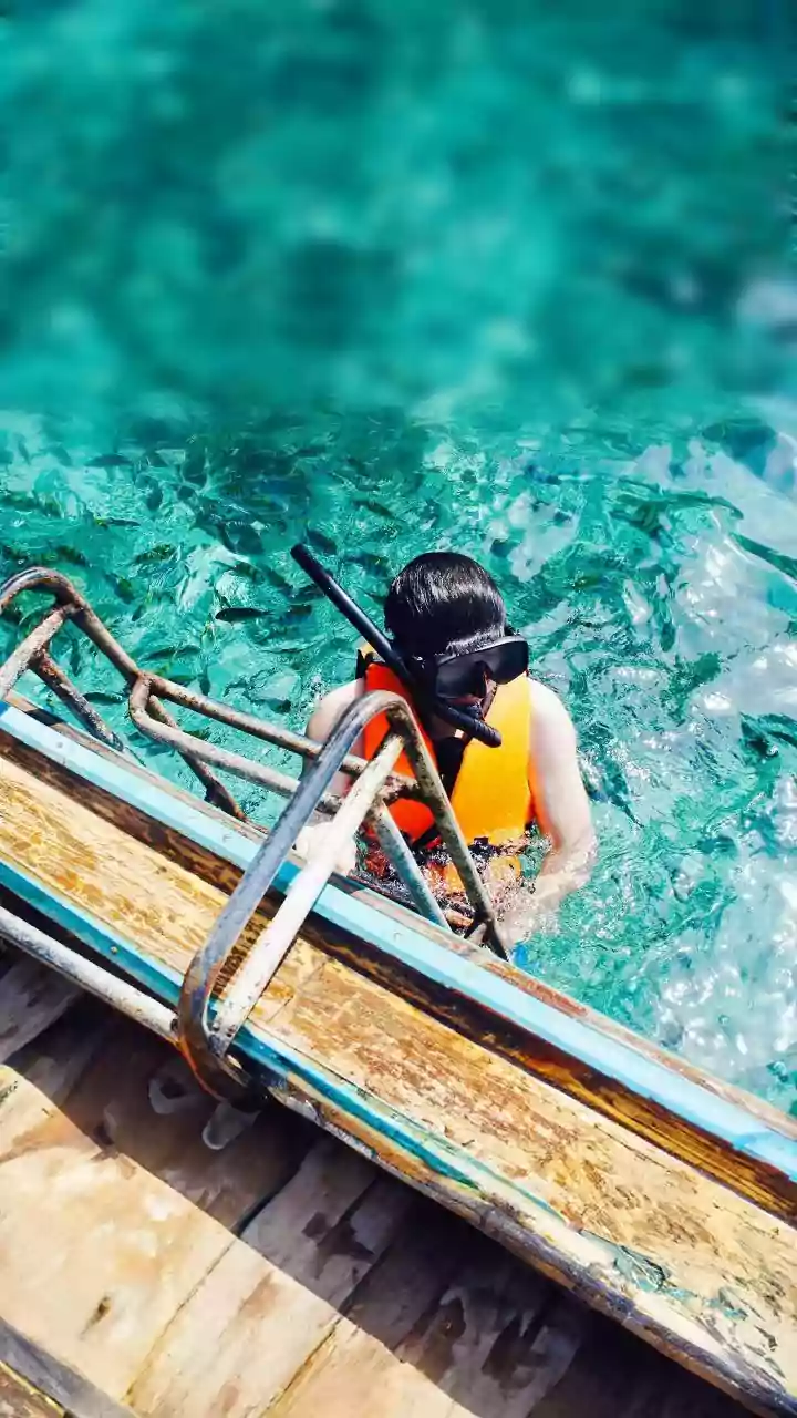 Bebe the Brave: The World's First Parakeet Goes Snorkeling in Custom Submersible