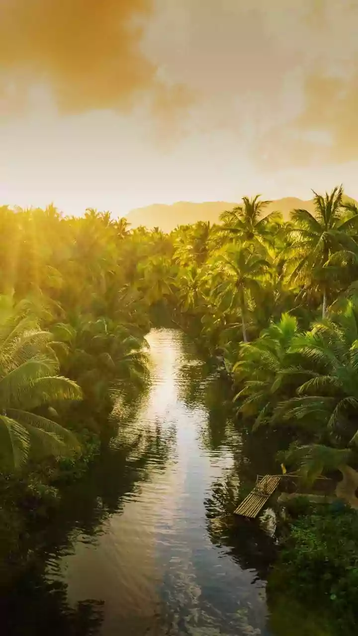 Blind Fishing: A River Journey's Sensory Awakening