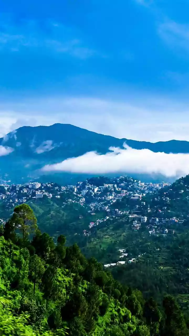 From Gurugram Burnout to Dehradun Bliss: Anshika Singh's Bold Career Shift