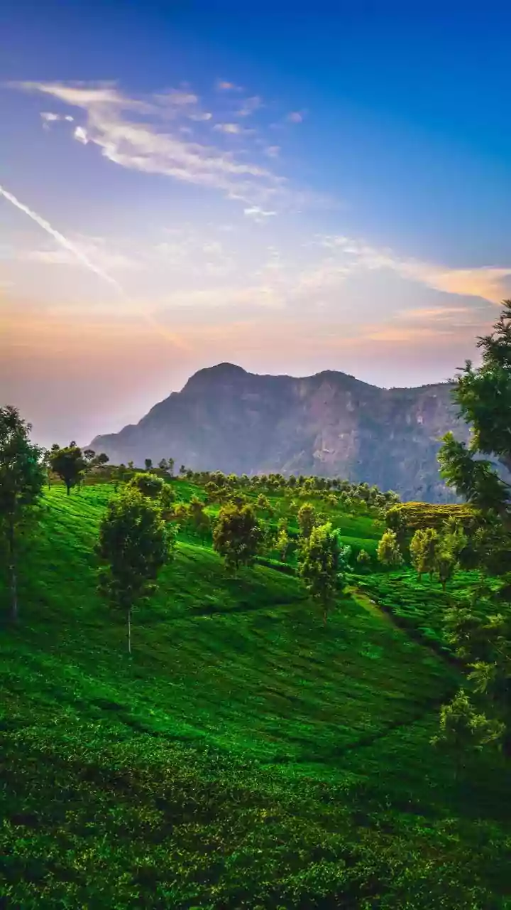 Road-Tripping Through Western Ghats: Lesser-Known Scenic Routes and Eco-Stays For Mindful Weekend Getaways