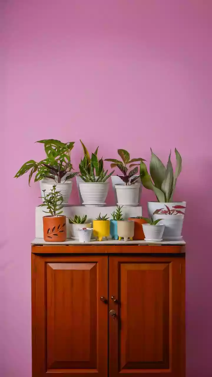 Measure Vertical Gaps Before Adding Shelf Risers