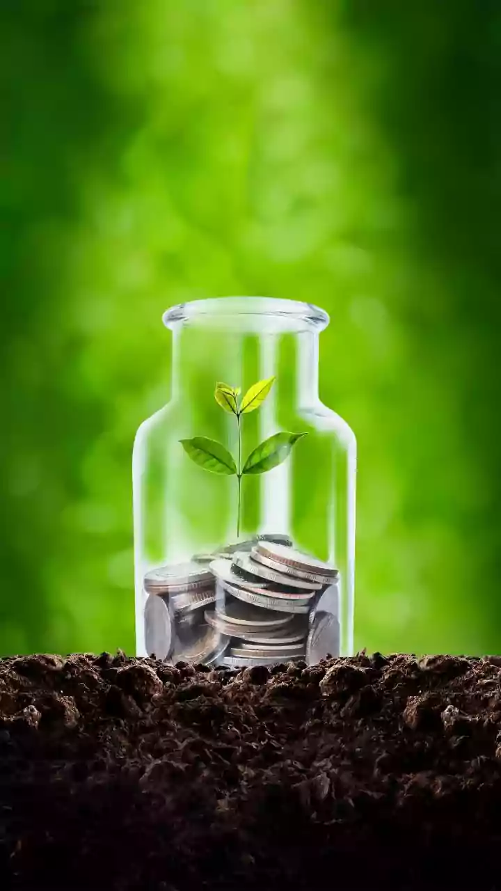 Top-Performing Funds: Navigating India's Investment Landscape