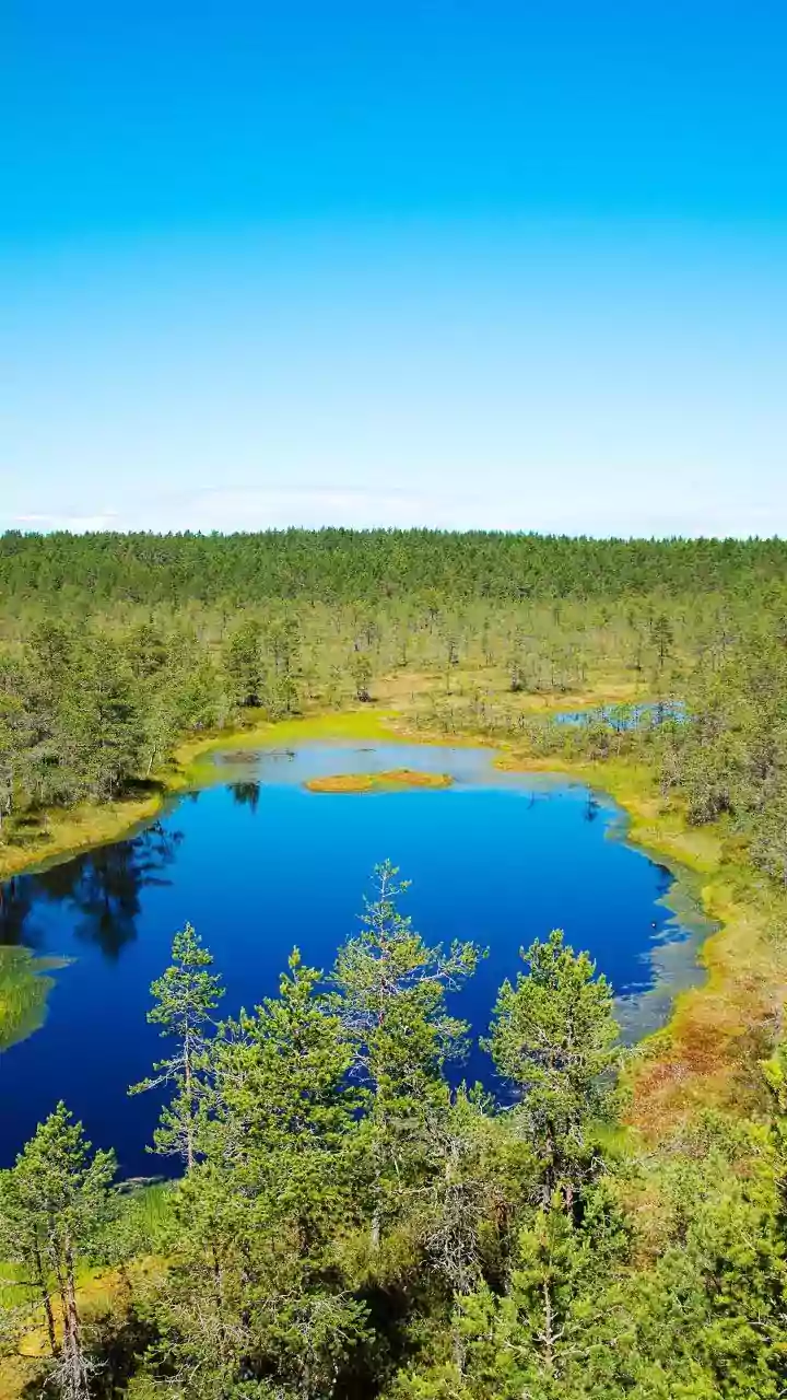 Unlock Your Joy: A 7-Day Finnish Lakeland Escape for Ultimate Happiness