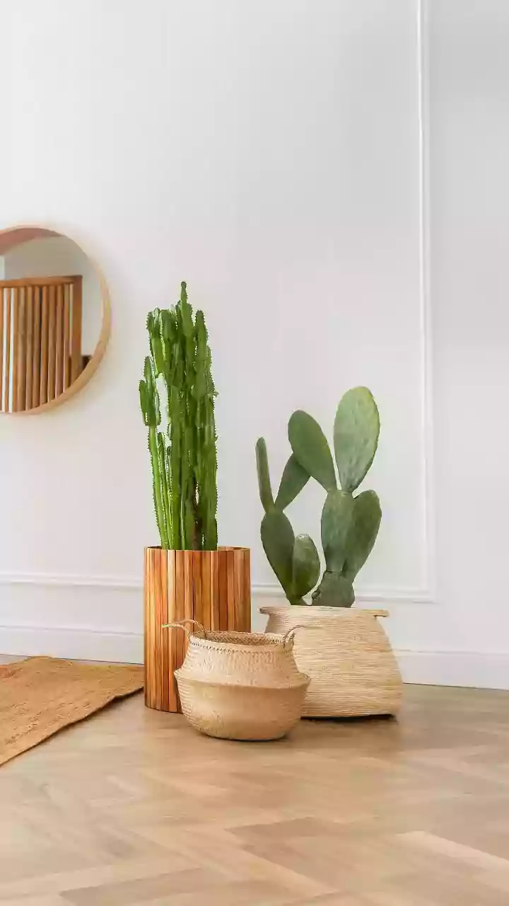 Mastering the Art: Crafting Your Own Iconic Asante Stool