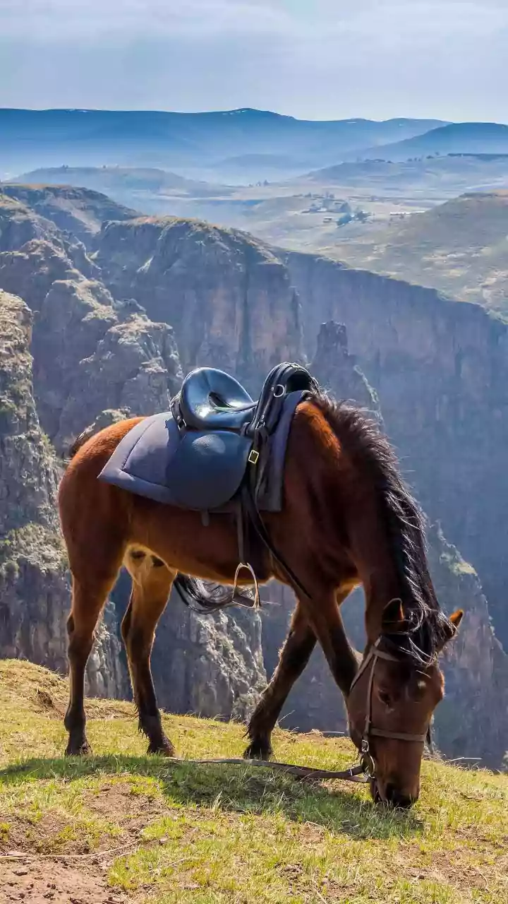 Portugal Horseback Travel Combines Scenic Trails With Historic Sites