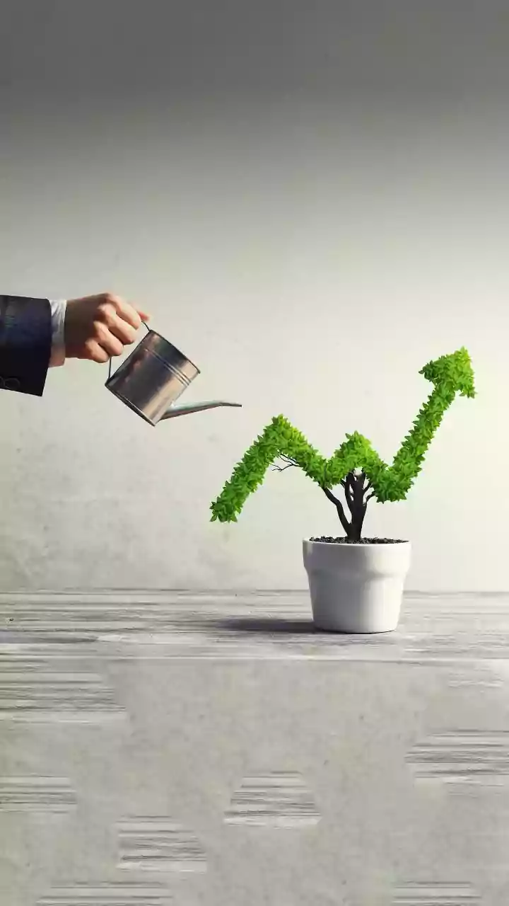 Helios's Small-Cap Fund: Decoding the Investment Landscape