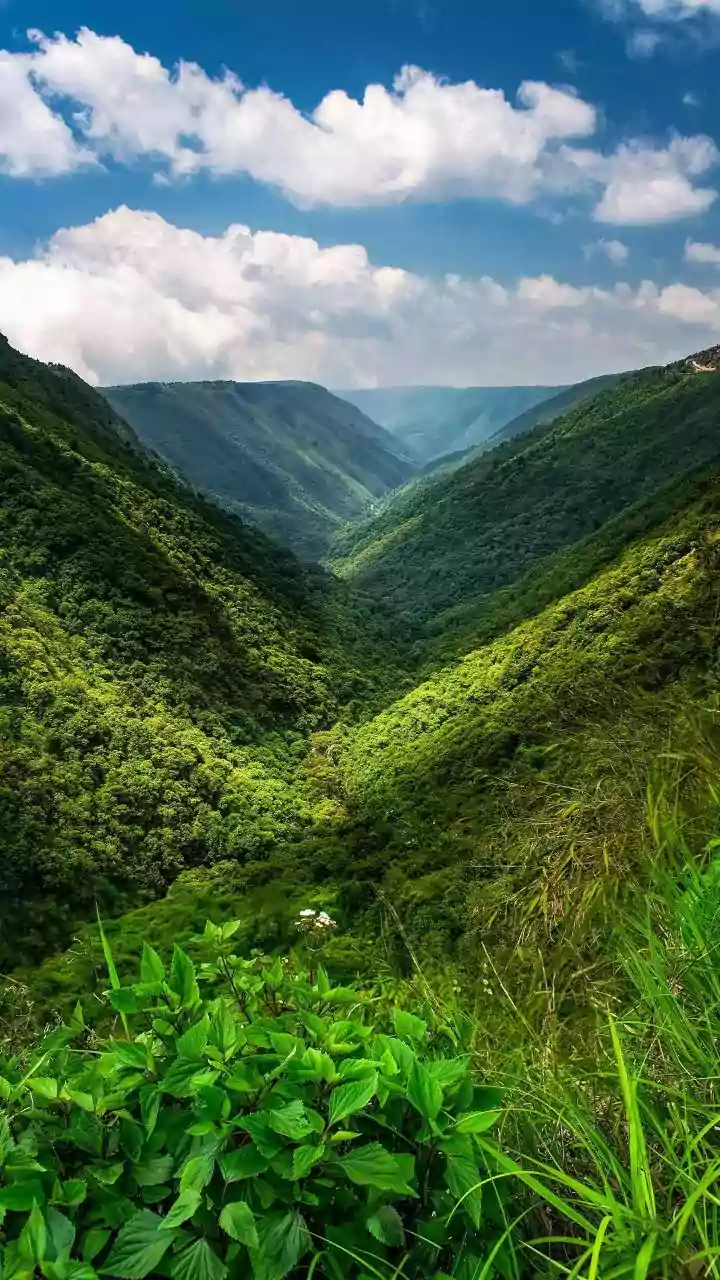 How Workations In Meghalaya Combine Productivity With Rainy Season Scenic Views