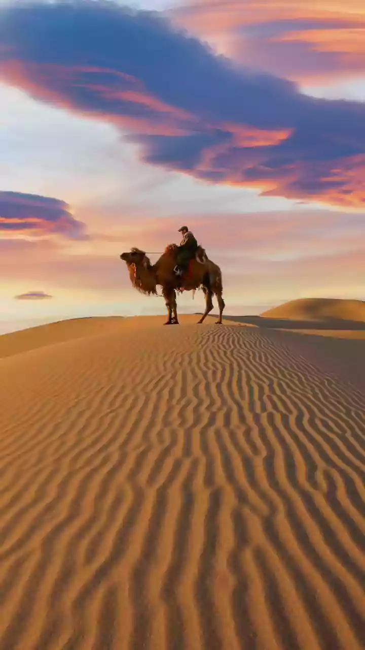 Uzbekistan overland adventures appeal to Gen Z backpackers looking for budget travel