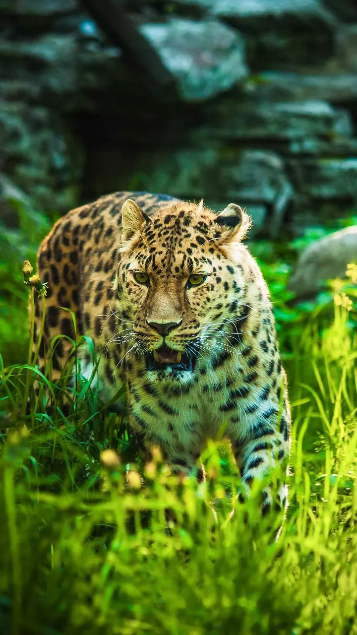 Related Stories banner