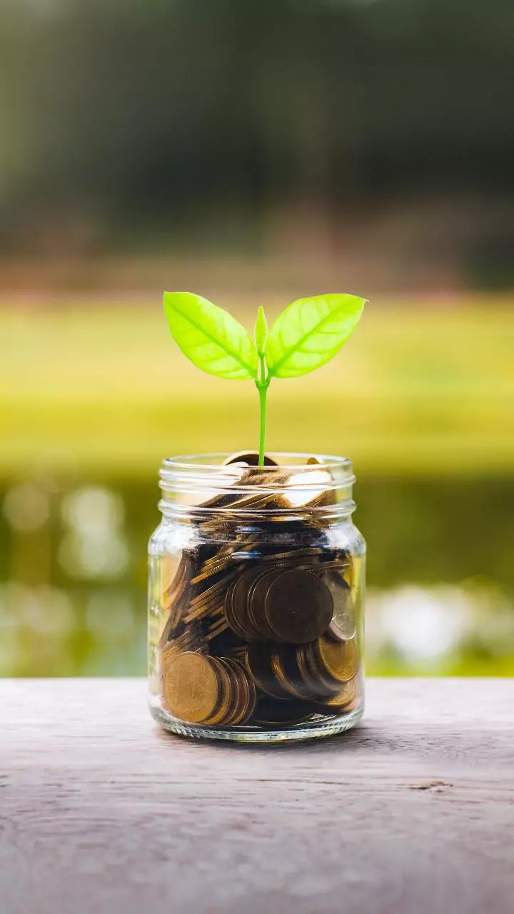 Don't Just Save Tax: Find the Best Investment for Your Financial Goals