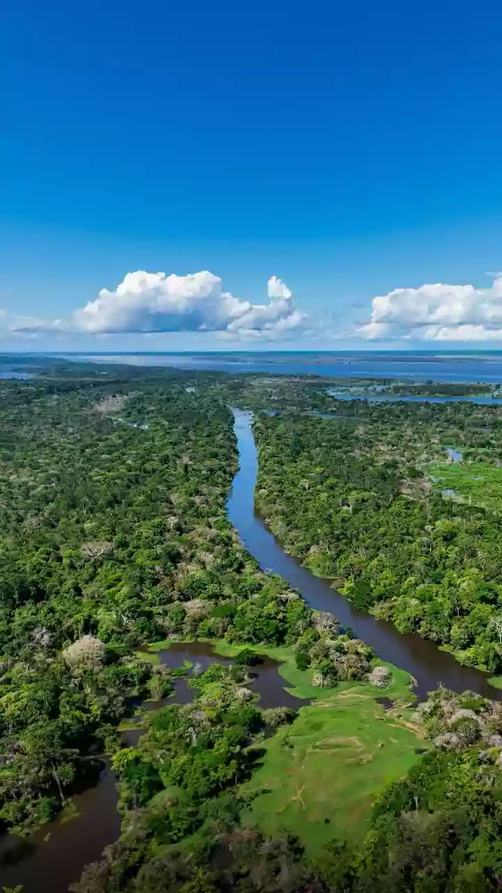 Unveiling the World's 10 Most Iconic Wetlands