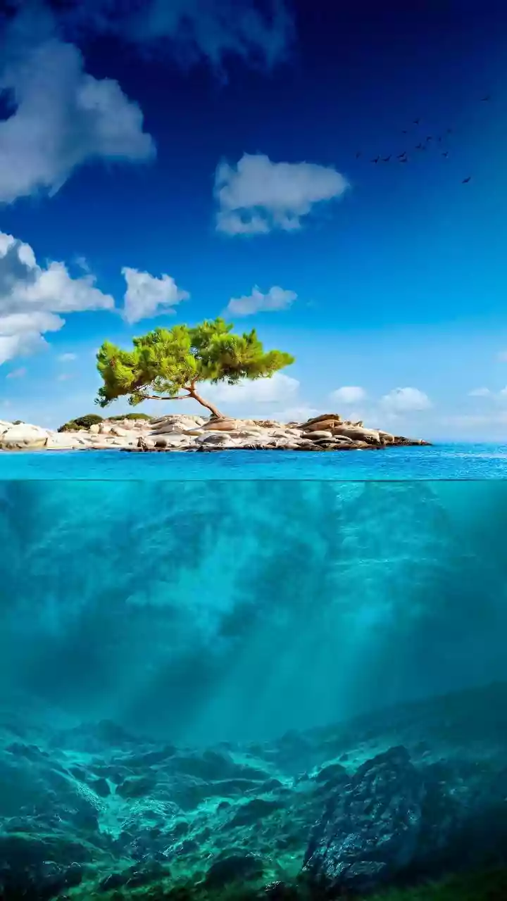How Carbon Moves Through The Deep Ocean