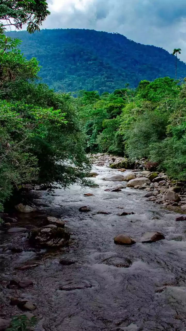 Andhra: Six Maoists killed in encounter in Alluri Sitaramaraju district