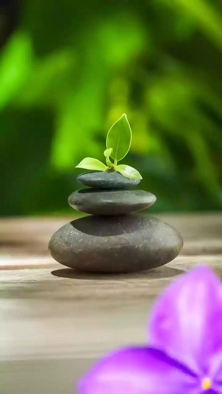 Designing 2026 With Intention: Life Habits That Promise A More Aligned Year Ahead