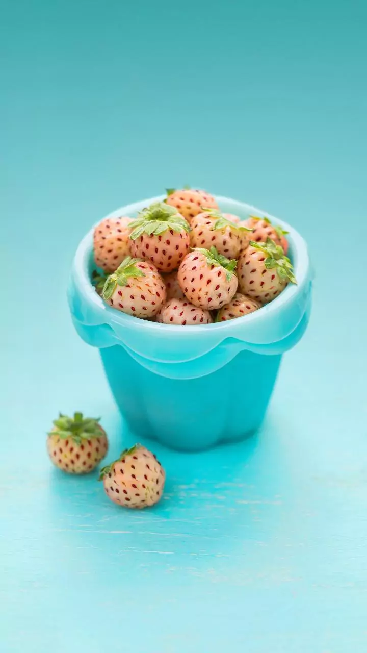 Indian Strawberry Breeding: Understanding the Role of 10-15 Years