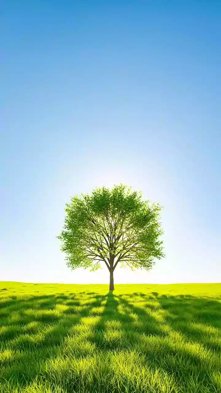 8 Traits of a Resilient Mindset: Fortify Yourself