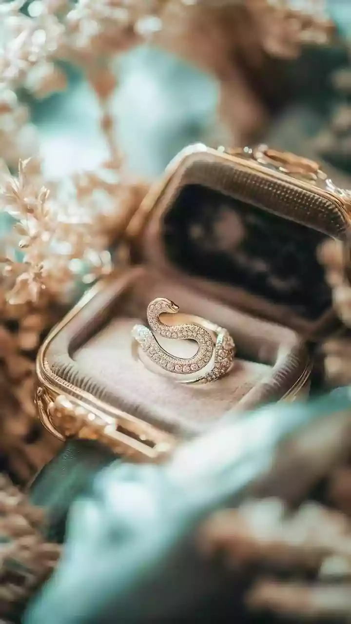 The Waist Chain's Glamorous Comeback: From Y2K Nostalgia to Concert Chic