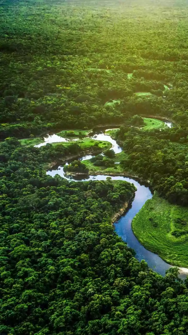 Seca da Amazônia chega 3 semanas antes em 2026