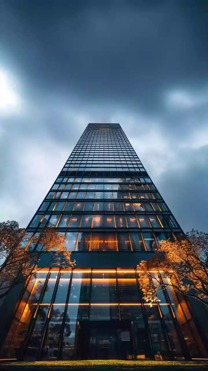 Low sun angle, flat light – January window photos explained