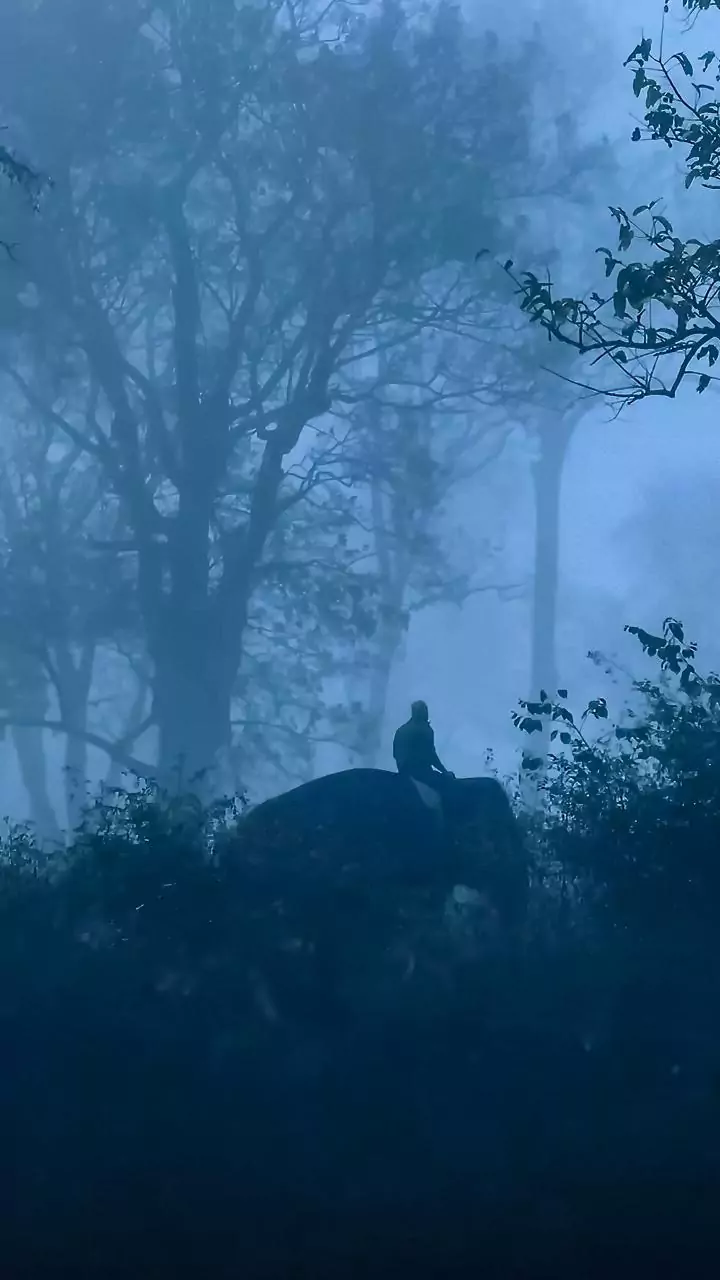 Cold wave, dense fog disrupt daily life in North India