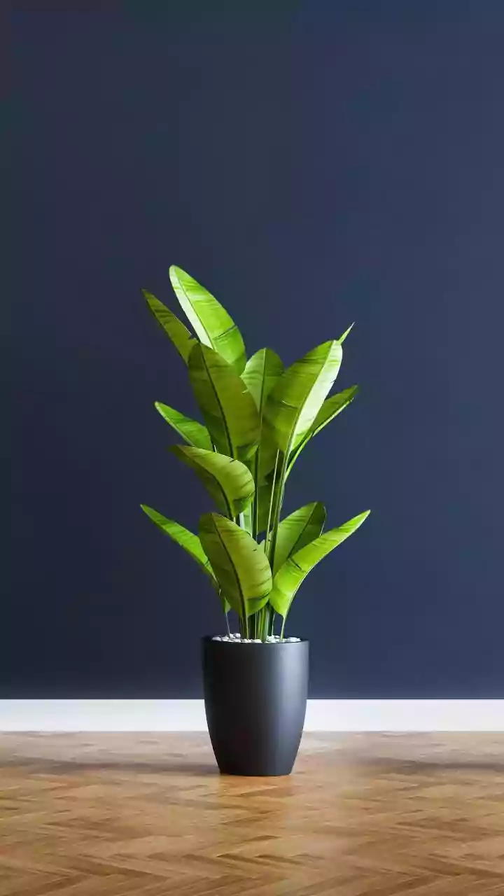 Indoor Plant Inspiration: Six Greens For A Calmer-Looking Space