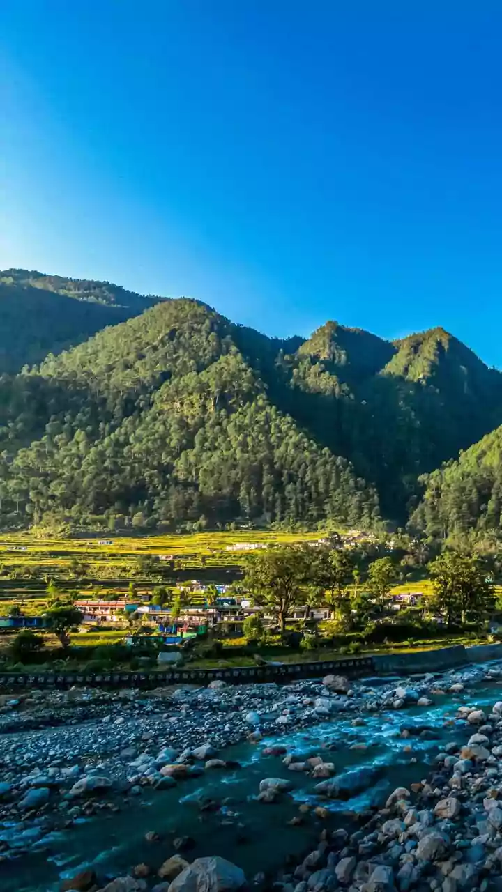 Arunachal Congress chief terms demonetisation as 'policy failure'