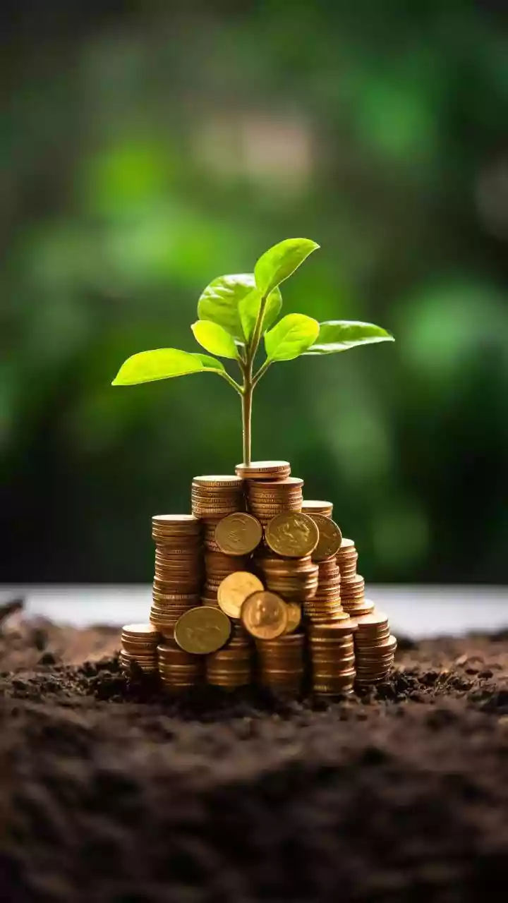Indian Sustainable Agriculture Bonds Explained: Water Conservation May Be An Eligible Project