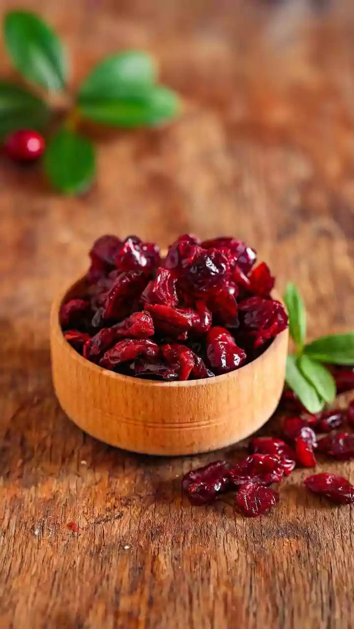 A Closer Look At Managing Indoor Plant Growth In Indoor Cranberry Gardening
