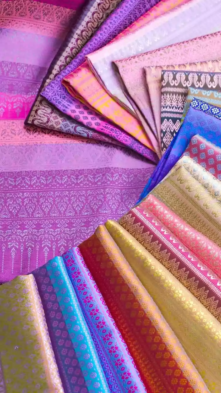 India's Woven Wonders: A 28-State Saree Tapestry