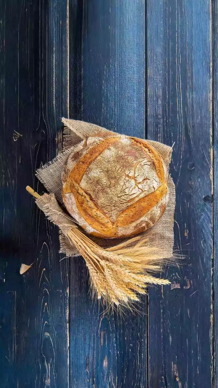 Você sabe de onde surgiu o pão? Novo estudo responde mistério