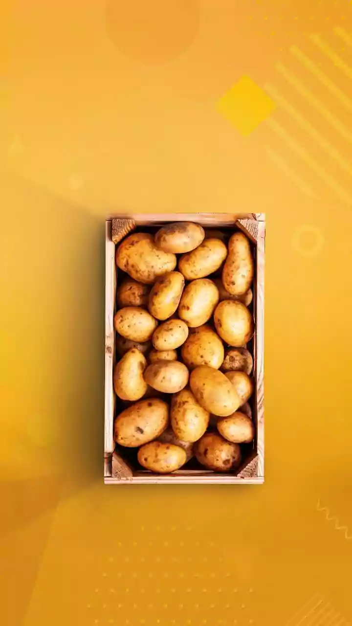 National Potato Day 2026 Celebrates the Humble Aloo Across India