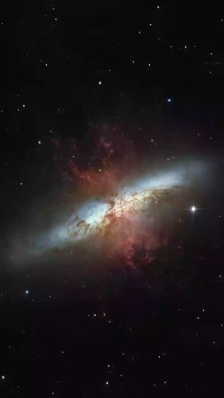 Stargazing Wonders: Unveiling Cosmic Events and Backyard Astronomy
