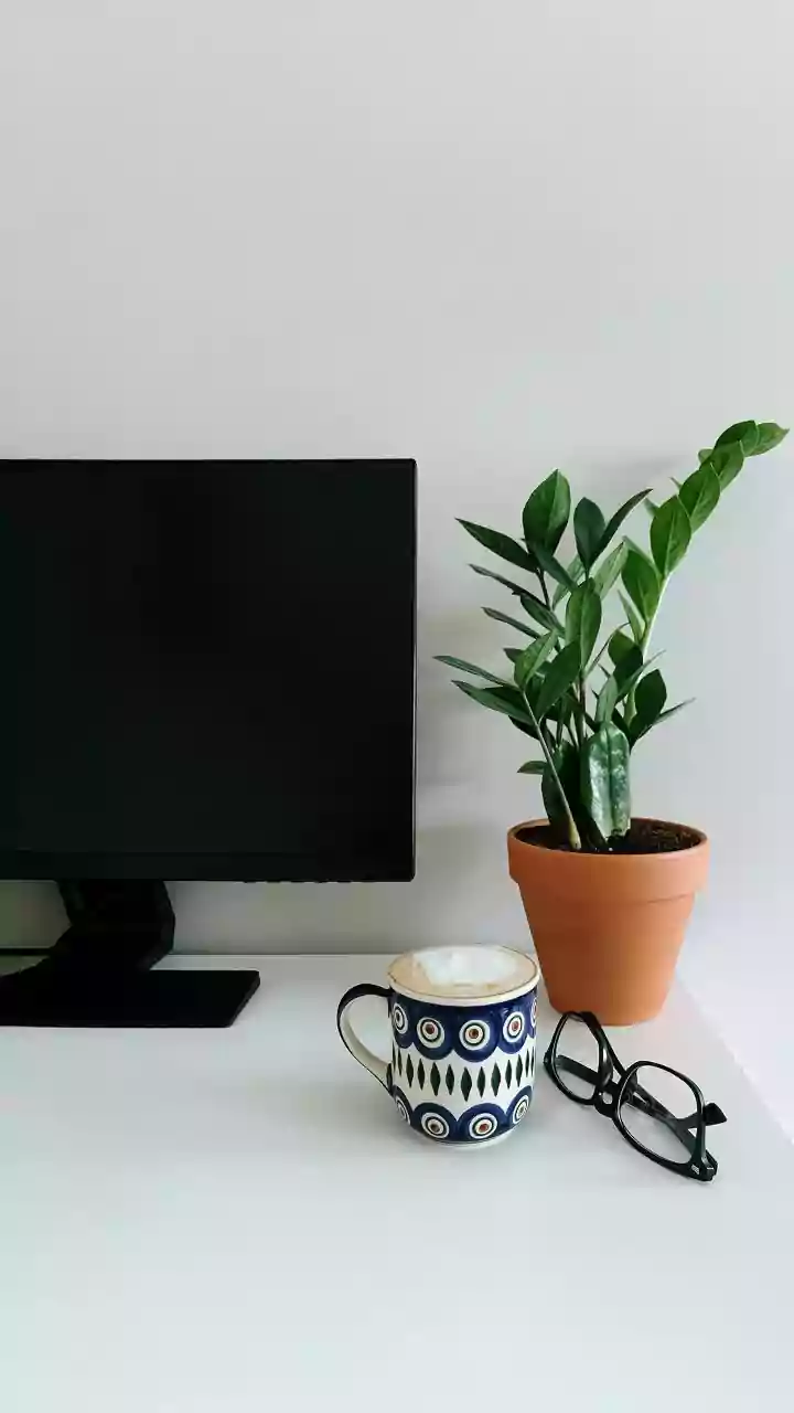 Boost Your Office Vibes: Top Desk Plants for Positivity & Productivity
