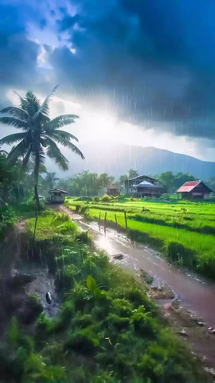Kerala monsoon's 60% station criterion explained: why some onsets are declared by morning bulletins