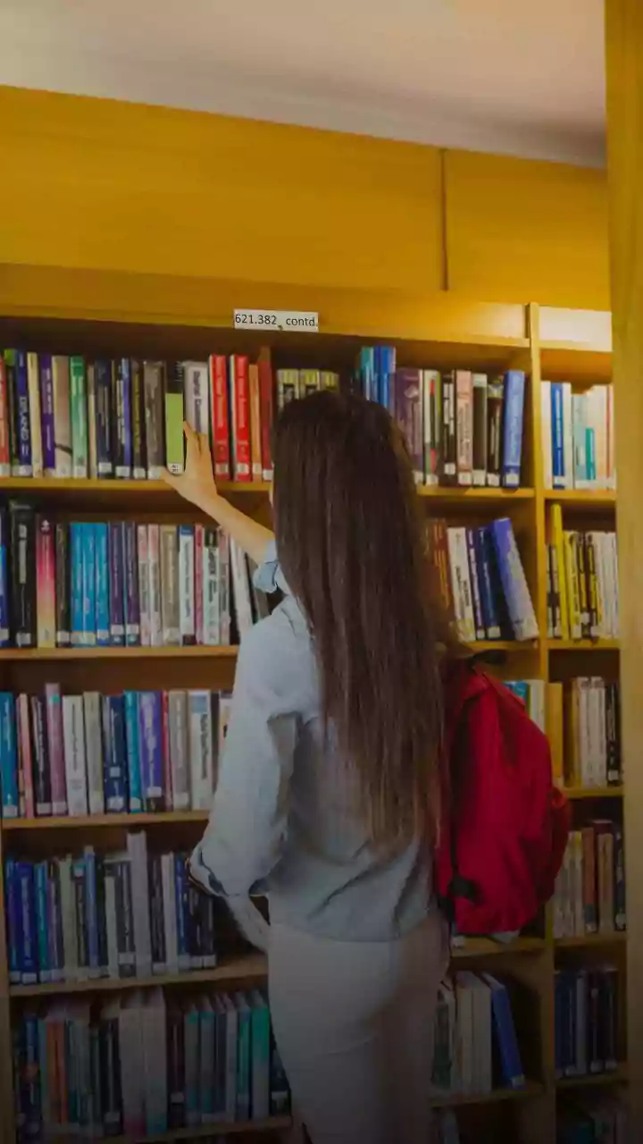 BBA Colleges in India: Your Guide