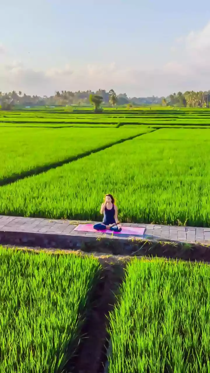 Brisk Countryside Walks Merge Into Deep Inner Yogic Reflection Movements