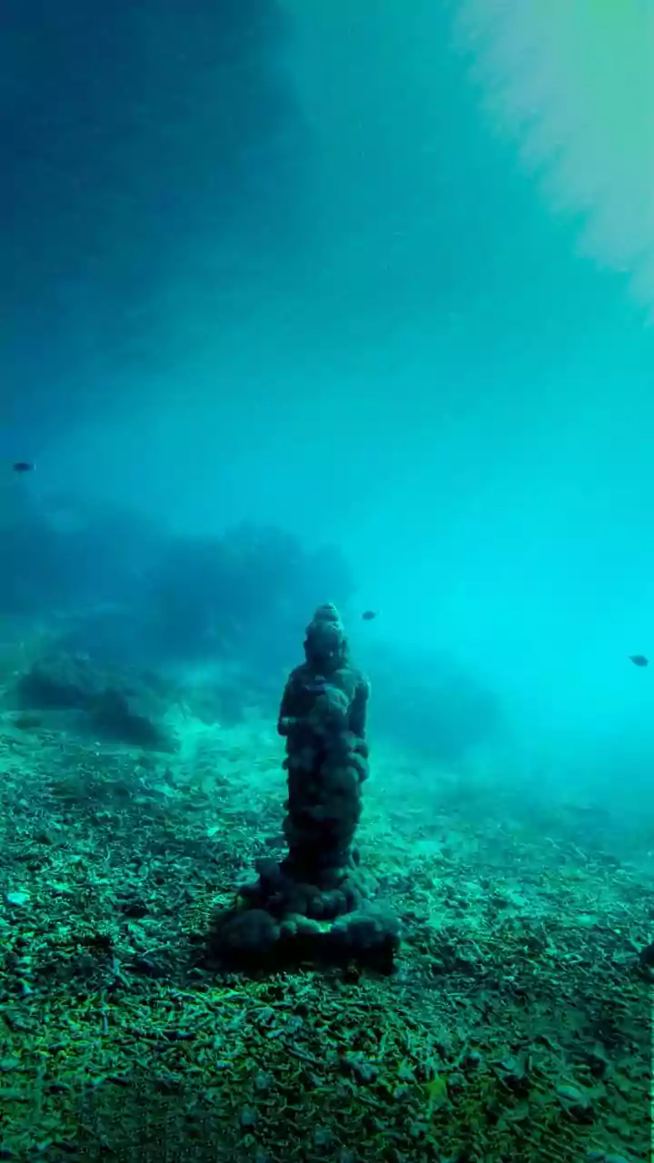 India's first underwater museum-submarine tourism project coming up off Sindhudurg coast
