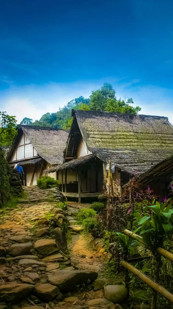 Related Stories banner