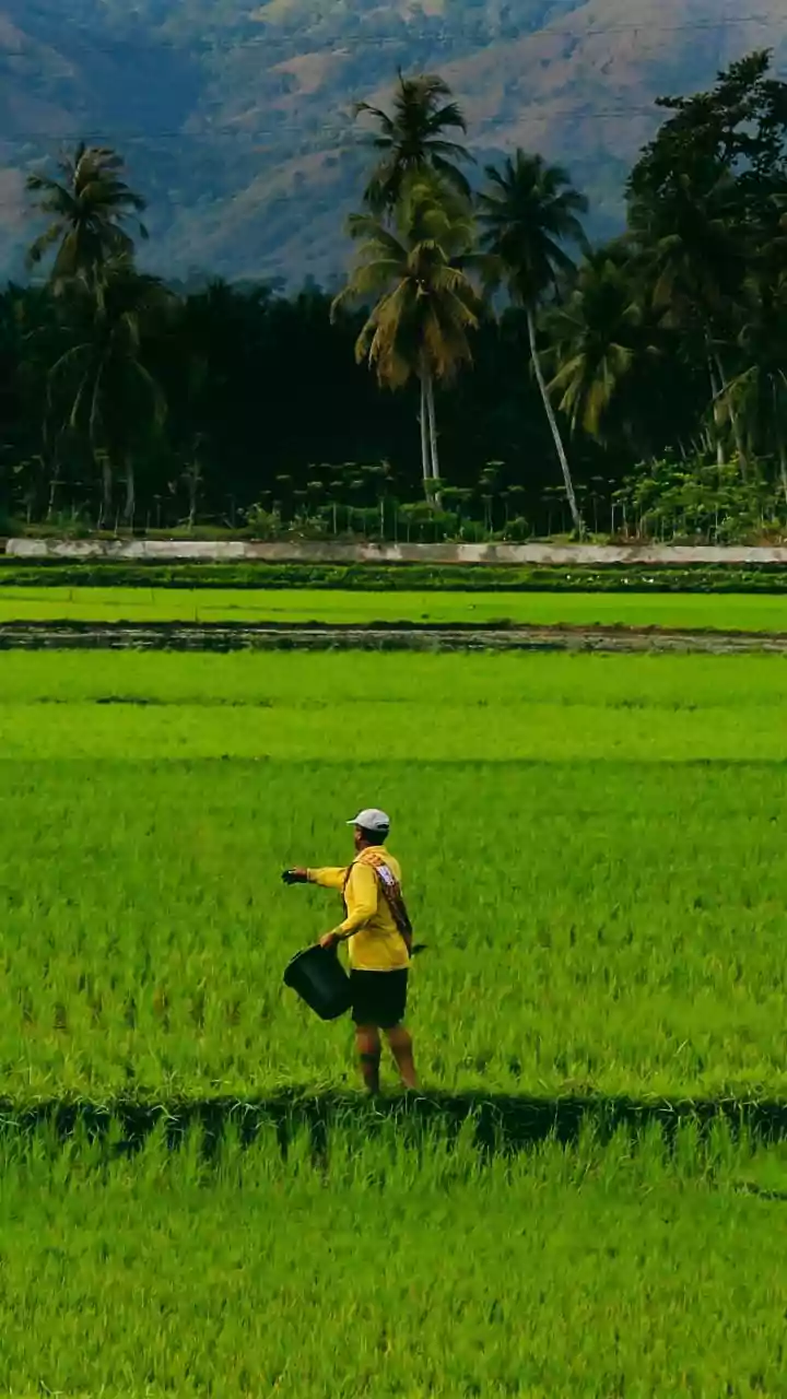 How Maharashtra Village Farmers Boost Crop Yields Using Solar Micro-Pumps
