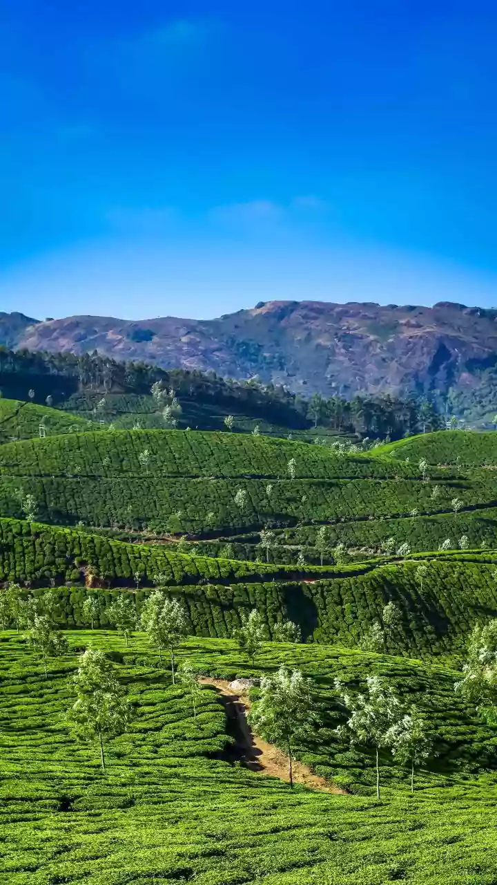 Modi's South India Tour: Projects & Poll Campaigns